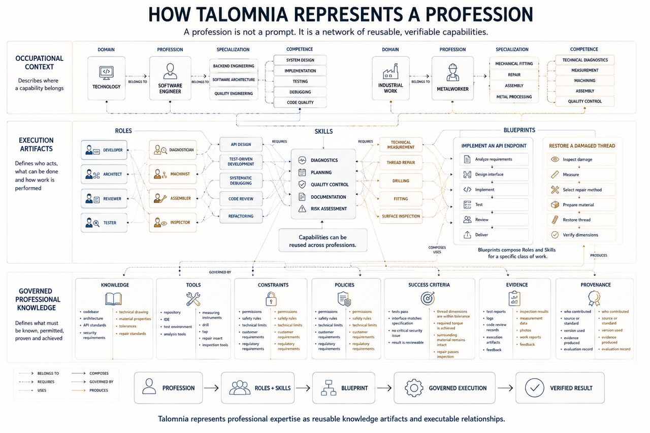 A profession as a network of professional capabilities.